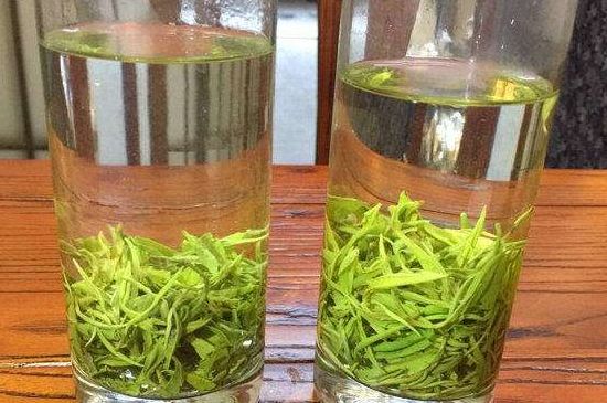 黃金茶的功效及禁忌癥，黃金茶有什么副作用嗎？