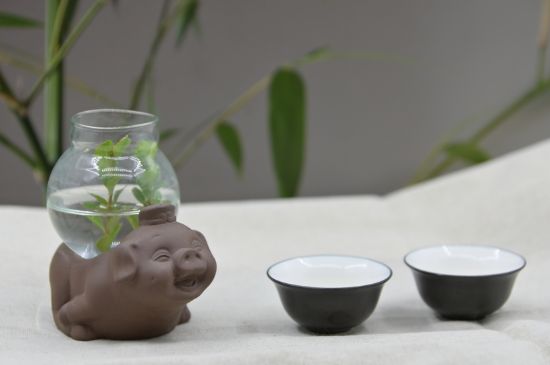 正確泡茶13個(gè)流程，新手從零開始學(xué)泡茶的步驟
