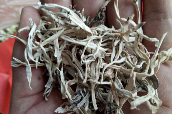 麗江雪茶的禁忌，白雪茶的副作用