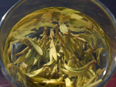 安吉白茶的功效與作用，簡單概括安吉白茶功效