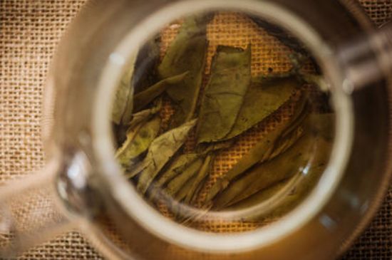 苦丁茶副作用，苦丁可以經(jīng)常喝嗎？