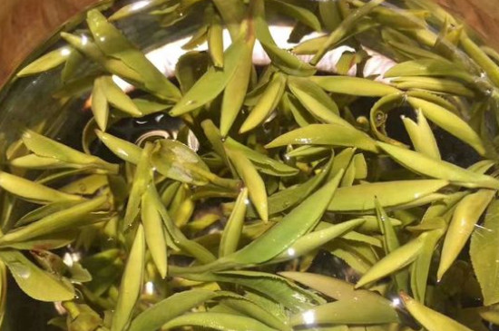 八大茶系都有哪幾種，八大茶系都是什么名字