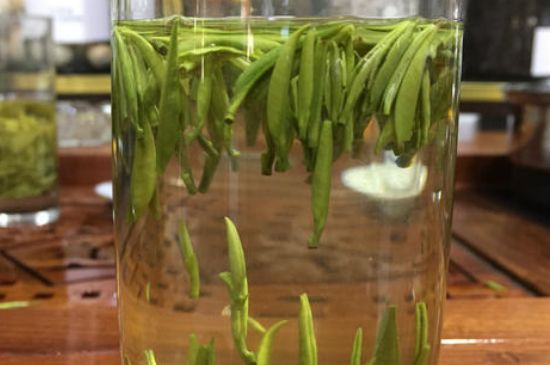 雀舌茶的副作用，雀舌茶什么人不能喝？