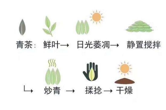 茶葉名稱大全和圖片，茶葉名字大全三四個字！