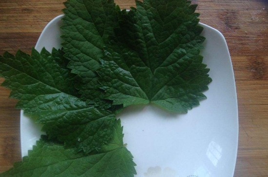 薄荷茶的功效與作用，喝薄荷茶有什么好處？