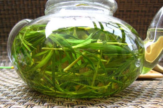 竹葉茶的禁忌，竹葉泡茶的功效禁忌