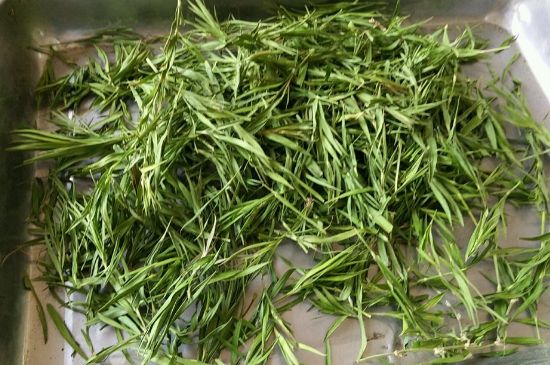 哪類人不適合喝石竹茶，石竹茶的功效與禁忌