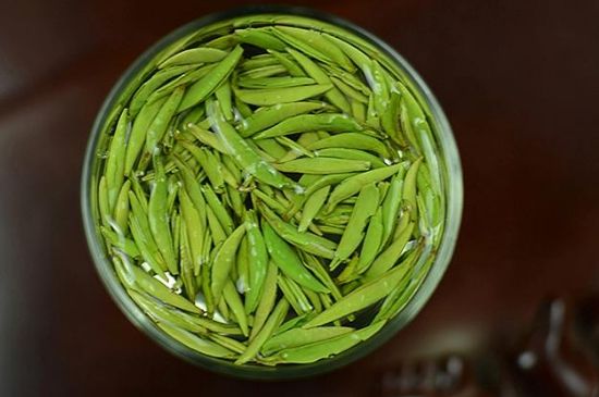雀舌茶什么人不能喝，雀舌茶的功效與禁忌