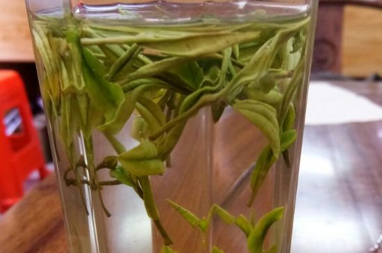 云霧綠茶的功效及禁忌，哪些人不適合喝云霧茶
