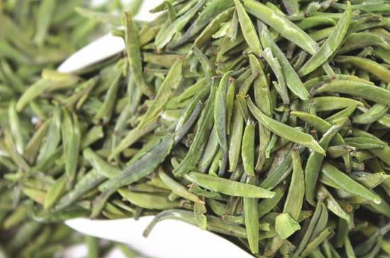 雀舌茶什么人不能喝，雀舌茶的功效與禁忌