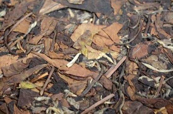 福鼎白茶能長時間悶泡嗎，老白茶可以悶著喝嗎？