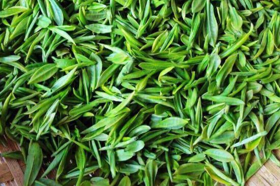云霧綠茶的功效及禁忌，哪些人不適合喝云霧茶