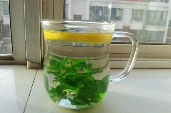 薄荷茶的功效與作用，喝薄荷茶有什么好處？