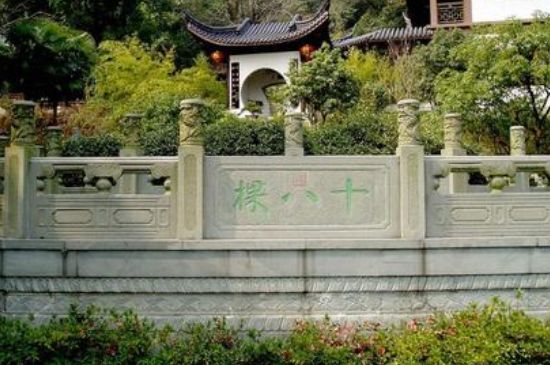 世界最貴的茶葉排行榜，十大最貴的茶