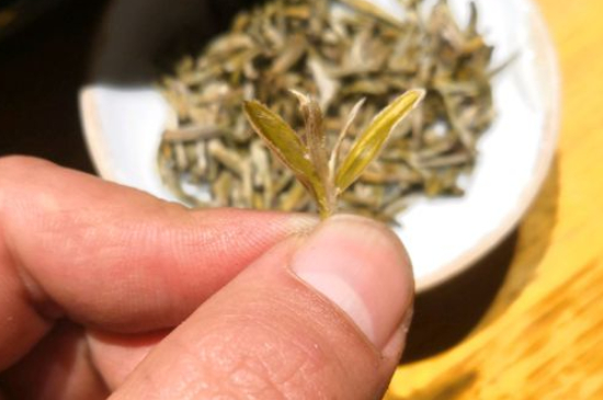 六大茶類哪種適合長(zhǎng)期存放，日常如何保存方法一覽？