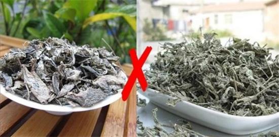 張家界茅巖莓茶與藤茶是同一種茶嗎，藤茶跟莓茶一不一樣？