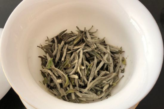 春茶上市白茶的好壞怎么區(qū)分，春白茶怎么分辨好不好？