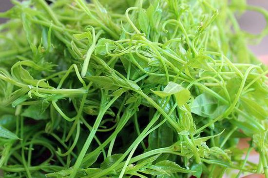 茅巖莓茶別名是什么，莓茶別名叫藤茶嗎？