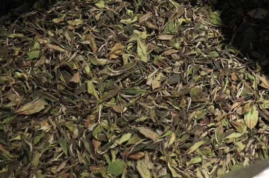 陳茶還是新茶好，茶葉是新茶好喝還是陳茶好喝