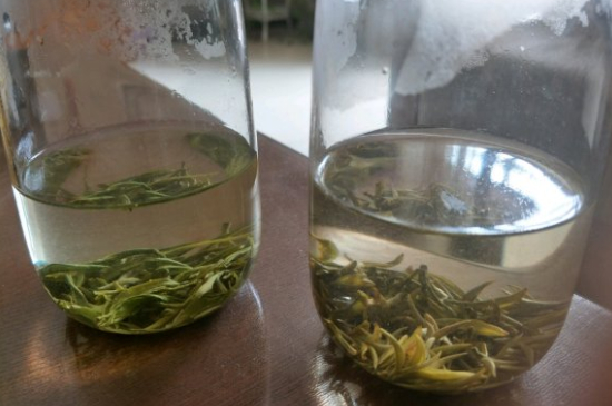 真假碧螺春泡水后區(qū)別，蘇州洞庭碧螺春怎樣鑒別好壞？