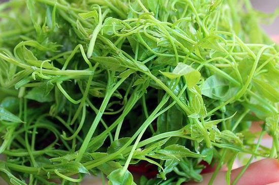 茅巖莓茶保質(zhì)期有多久，張家界莓茶存放時(shí)間長(zhǎng)了還能喝嗎？