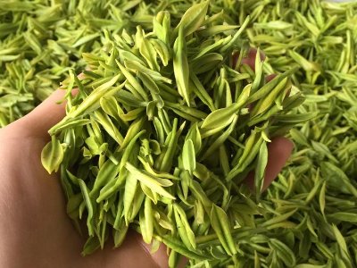 白茶品質(zhì)如何區(qū)分，白茶的優(yōu)劣質(zhì)量辨別方法