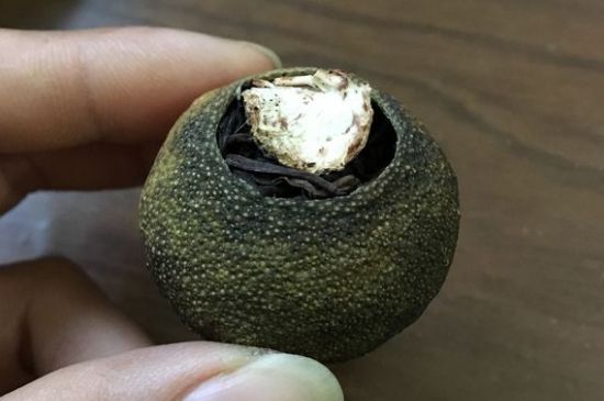 怎么知道小青柑是真的假的圖片，如何區(qū)分真假新會(huì)小青柑
