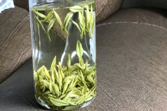 安吉白茶夏天怎么保存，安吉白茶能冷凍儲(chǔ)存嗎？