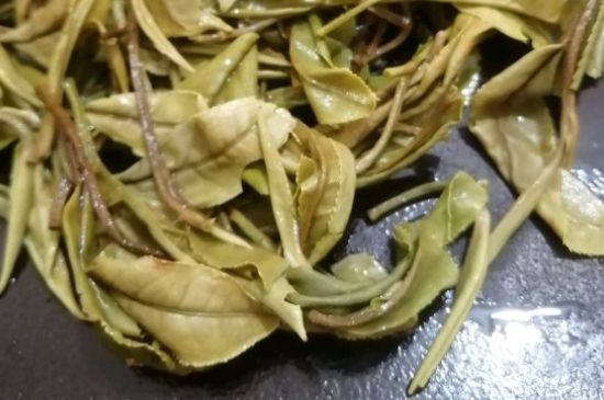 春茶上市白茶的好壞怎么區(qū)分，春白茶怎么分辨好不好？