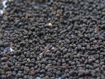 圓形顆粒狀茶是什么茶，像飼料一樣一粒粒的是什么茶？
