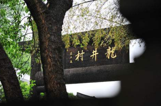 杭州買龍井茶攻略，怎么買到正宗的西湖龍井？