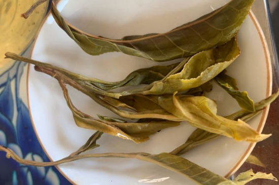 普洱茶十大學(xué)費(fèi)茶排名，吉普H是學(xué)費(fèi)茶？