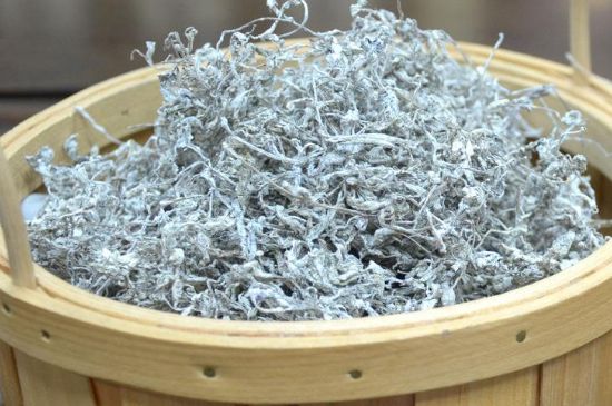 張家界莓茶真假對比，野生莓茶的鑒別方法