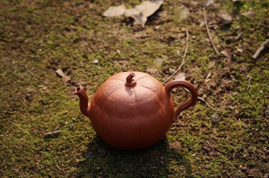 紫砂壺泡什么茶最佳，紫砂壺一般泡什么茶？