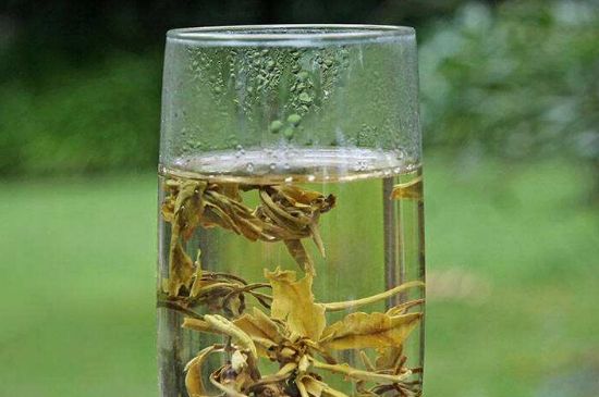 茉莉龍珠什么人不能喝，茉莉龍珠茶什么體質(zhì)不能喝？