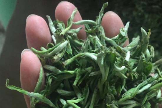 茉莉茶如何制作曬干，自制茉莉茶的做法