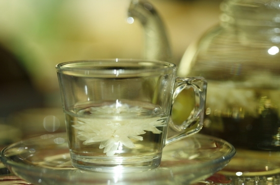 菊花茶天天喝行嗎，每天喝菊花泡茶喝好嗎？