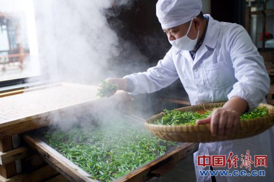 炒青綠茶與綠茶的區(qū)別，烘青和炒青哪個(gè)好喝？