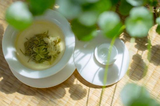 茉莉花茶6種人不要喝，什么體質(zhì)不適合喝茉莉花茶？