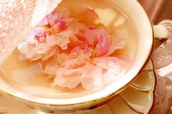 玫瑰花茶一周喝幾次，玫瑰花茶可以天天喝嗎？