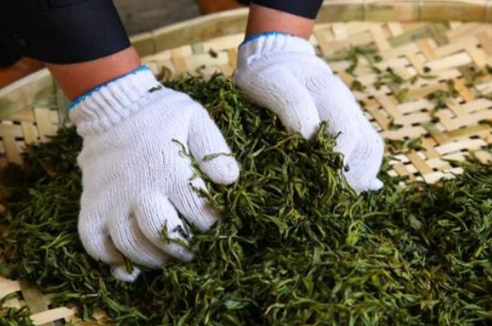 綠茶加工工藝流程圖，綠茶的加工制作包含哪幾個(gè)步驟？