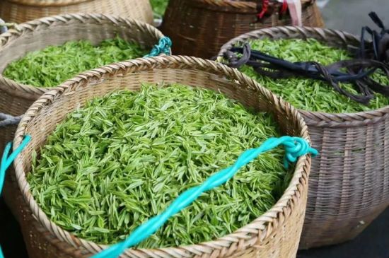茶葉怎么炒制才香，怎樣炒茶葉更香？