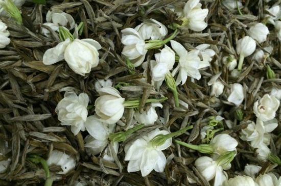 茉莉銀針口感，茉莉銀針是什么味道？