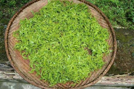茅巖莓茶加工工藝，莓茶的工藝制作過程