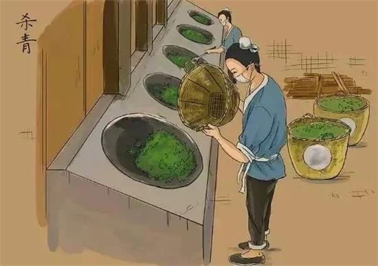 制茶八步驟，制茶工藝流程圖
