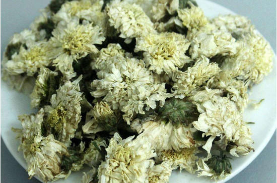 菊花茶買小朵還是大朵，泡茶用的小菊花和大菊花哪個好