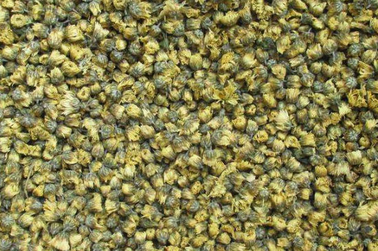 菊花茶大朵小朵有什么區(qū)別，菊花喝大朵還是小朵？