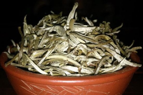 茉莉花茶6種人不要喝，什么體質(zhì)不適合喝茉莉花茶？