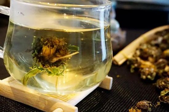 蒲公英最佳搭配，蒲公英茶和什么搭配泡水最佳