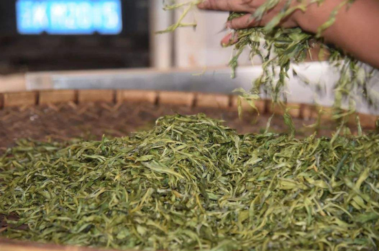 炒青綠茶與綠茶的區(qū)別，烘青和炒青哪個(gè)好喝？